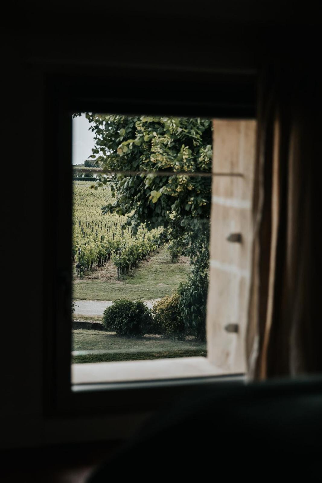 Chateau La Grande Clotte Lussac  Rum bild