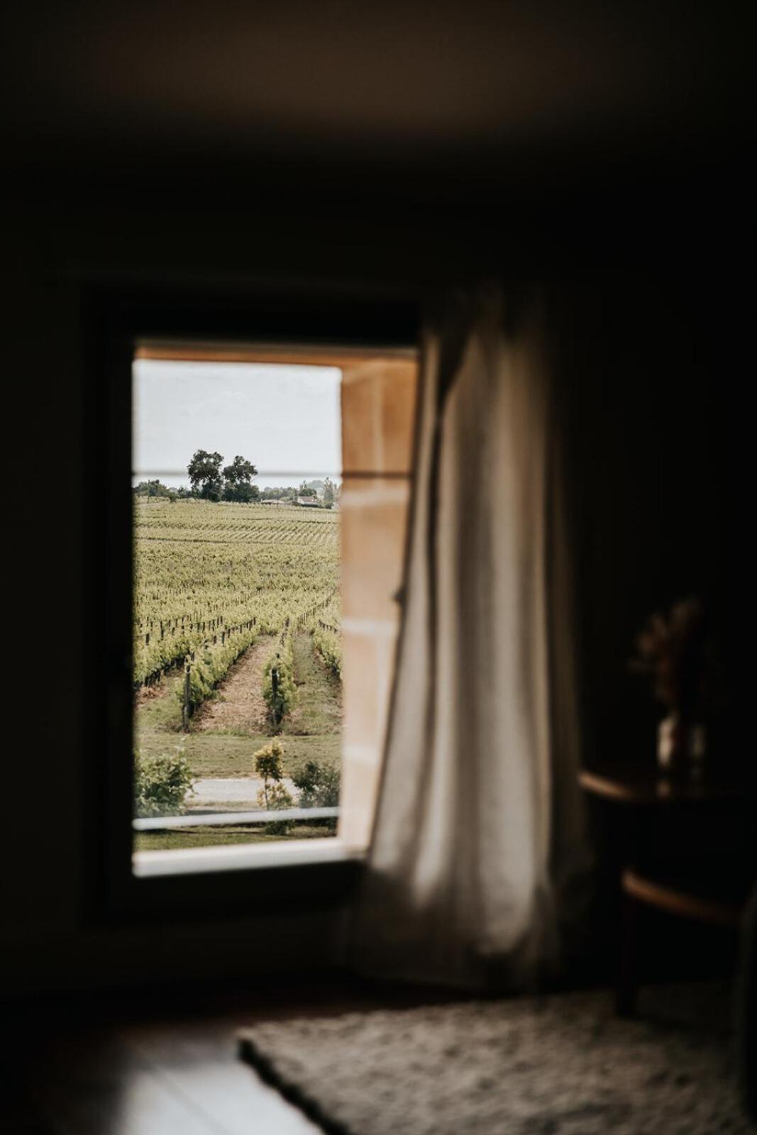 Chateau La Grande Clotte Lussac  Rum bild